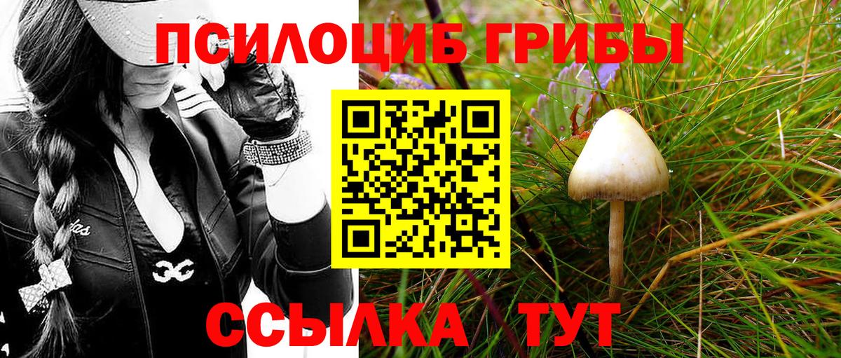 Псилоцибиновые грибы мухоморы  Вход с VPN  Барнаул 