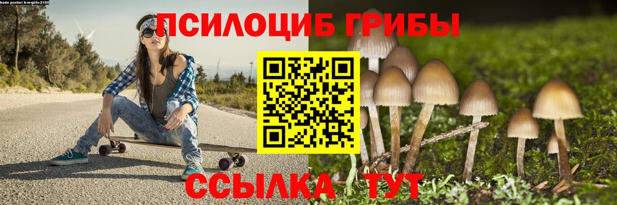 Галлюциногенные грибы Psilocybine cubensis Барнаул